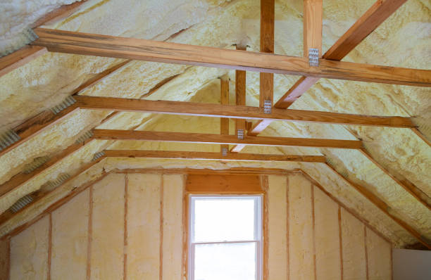 Best Types of Insulation in Moa, UT