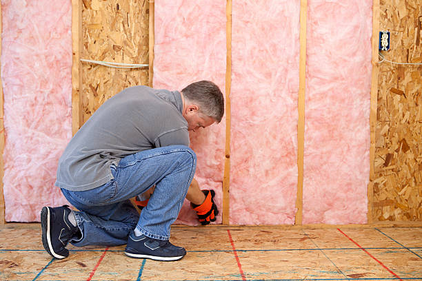 Best Residential Insulation in Moa, UT